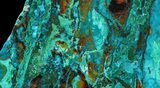Polished Chrysocolla & Plume Malachite - Bagdad Mine, Arizona #63230-1